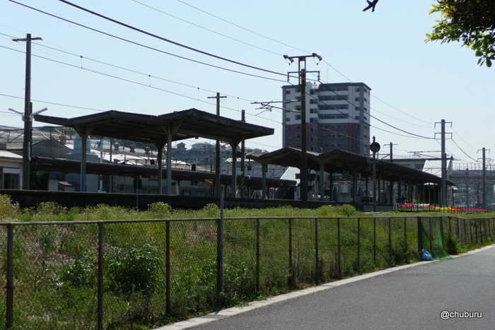 JR幡生駅のチューリップ