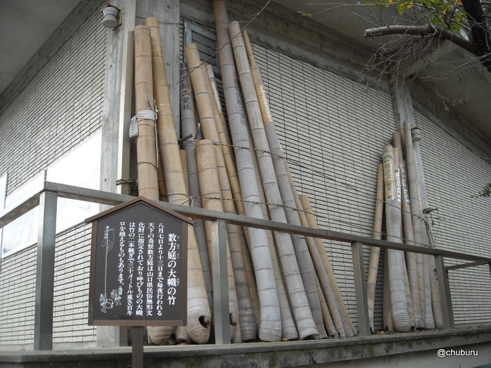 数方庭の大幟の竹（忌宮神社）