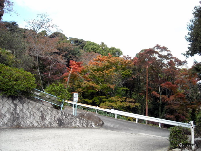 栄山公園