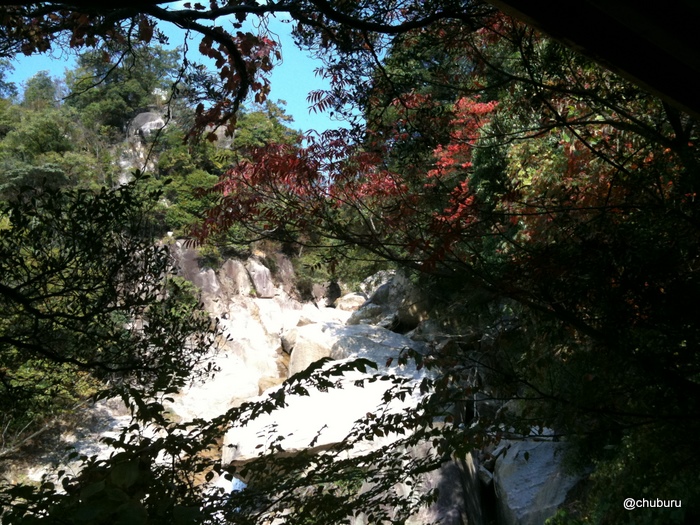 紅葉のすすむ鳴滝に行ってみました。