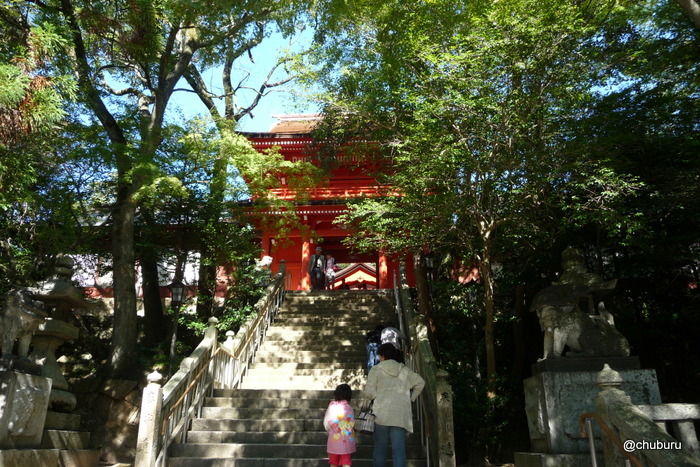 長門一宮住吉神社国宝本殿一般公開に行ってきました。