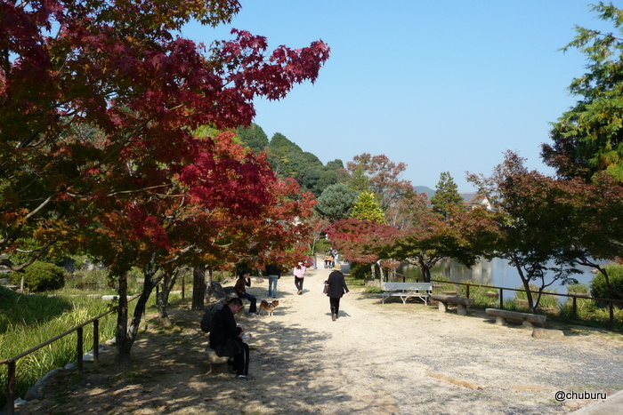 東行庵に紅葉を見にいきました。