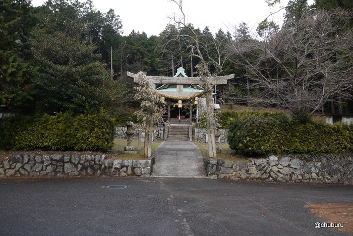 山陽小野田市の加茂神社で巨木を見てきた。その１モミジ