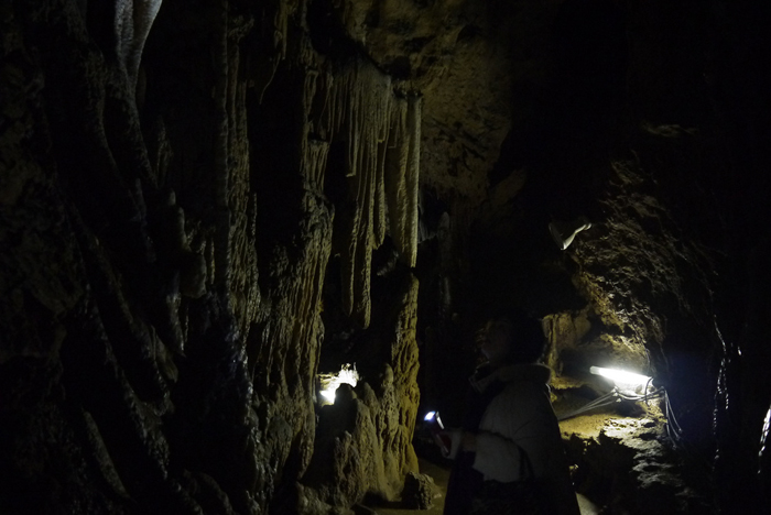 大分県の鍾乳洞と滝を巡る旅　その１大分まで鍾乳洞と滝を見に行ってきました。