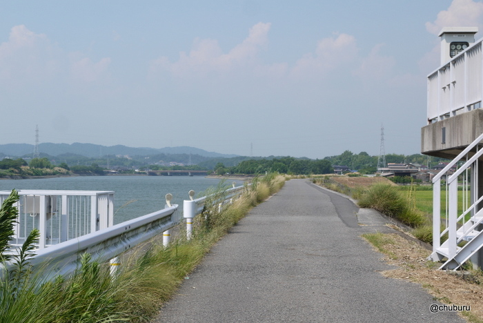 厚東川を眺める。