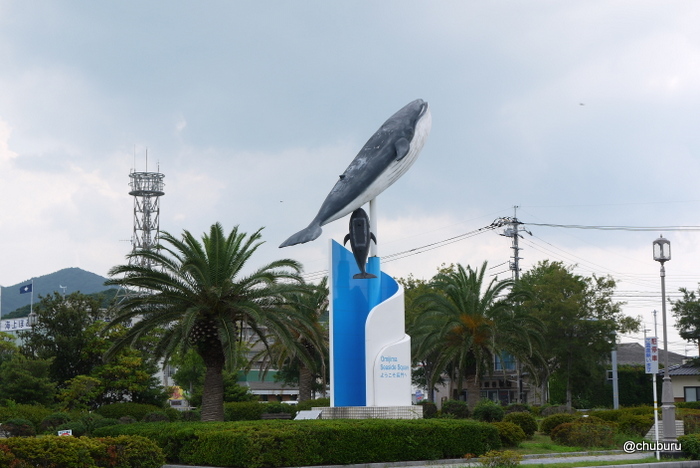 青海島で鯨と金子みすゞに出会う。