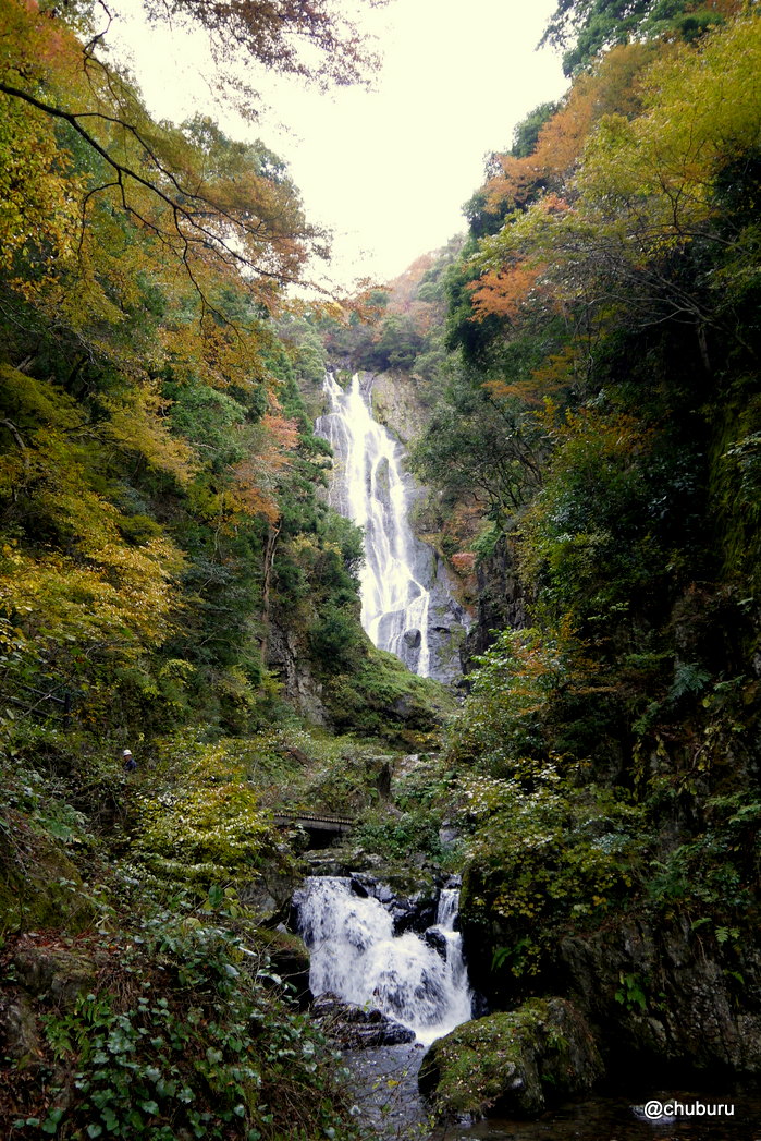 金田一耕助を巡る旅　その７八つ墓村の神庭の滝には登れないぞ。