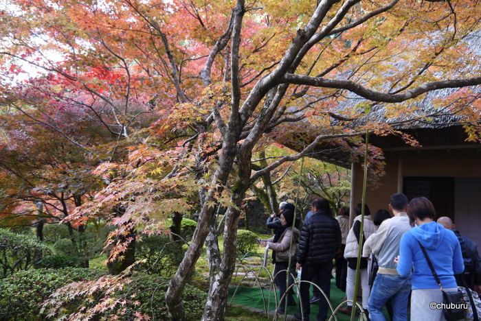 佐賀県まで紅葉狩りに　その５九年庵の紅葉はとても素晴らしかった。