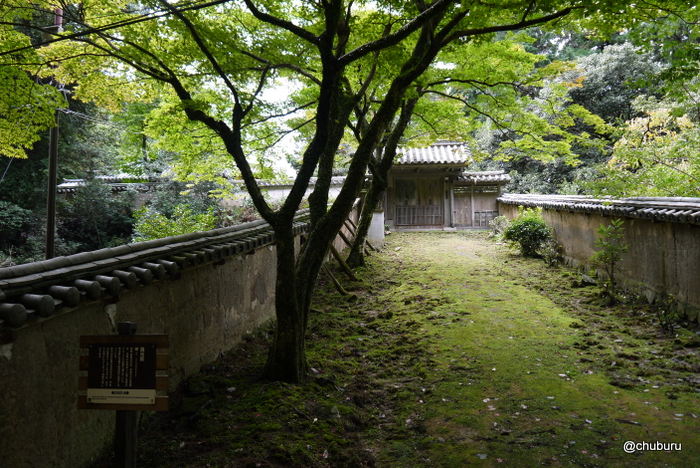 城とドラマのロケ地を巡った姫路の旅　その１１書写山圓教寺ササはササでもササではない