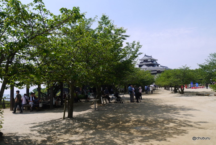 しまなみ海道を通って松山城に行ってきた。その７よしあきくんがいたよ。