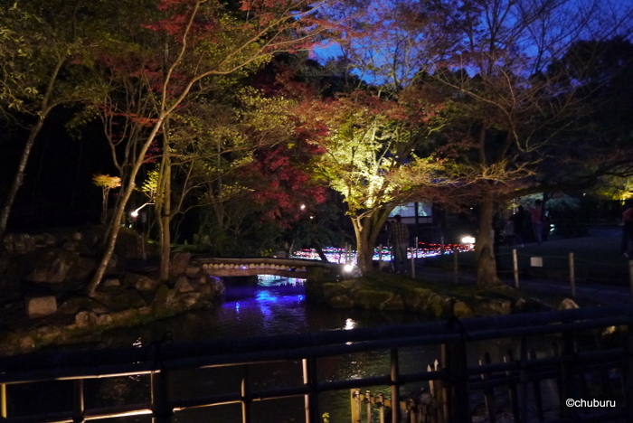 中南米と姫路城を訪ねる旅　その１０龍野公園モミジのライトアップ
