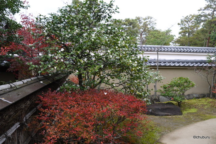 中南米と姫路城を訪ねる旅　その１４好古園松の庭・花の庭