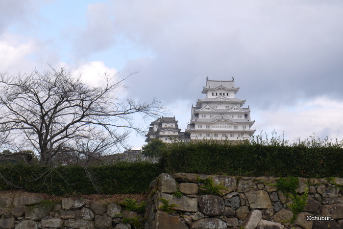 中南米と姫路城を訪ねる旅　その１６大人気の姫路城で行列に並んだ。