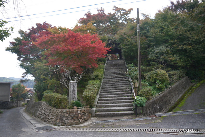 宇部市の来迎寺へ紅葉を見に行ってきました。