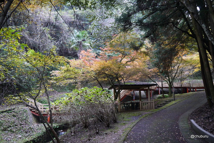 美祢市の水神公園の紅葉を見てきた。