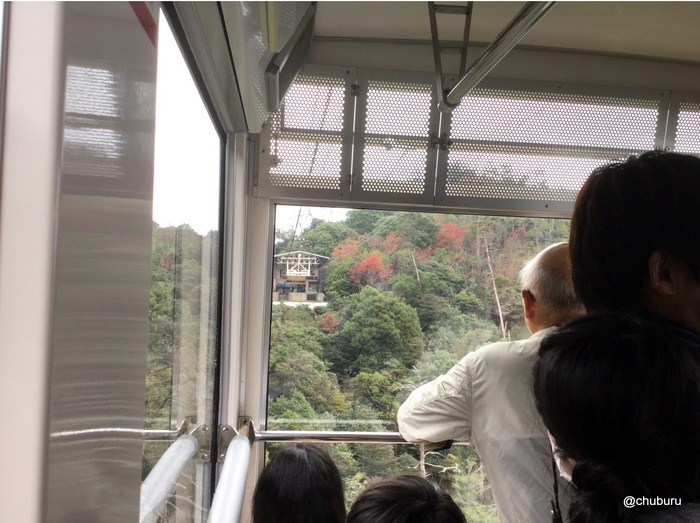 倉敷と宮島の旅は人で溢れていたよ。その１０紅葉谷公園で紅葉を鑑賞してきた。