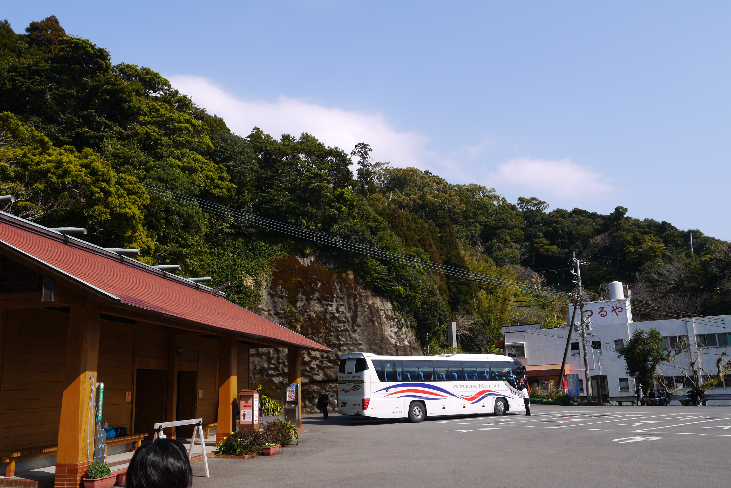 春らんまん宮崎の旅　その４鵜戸神社の本殿までは杖が必要だった。