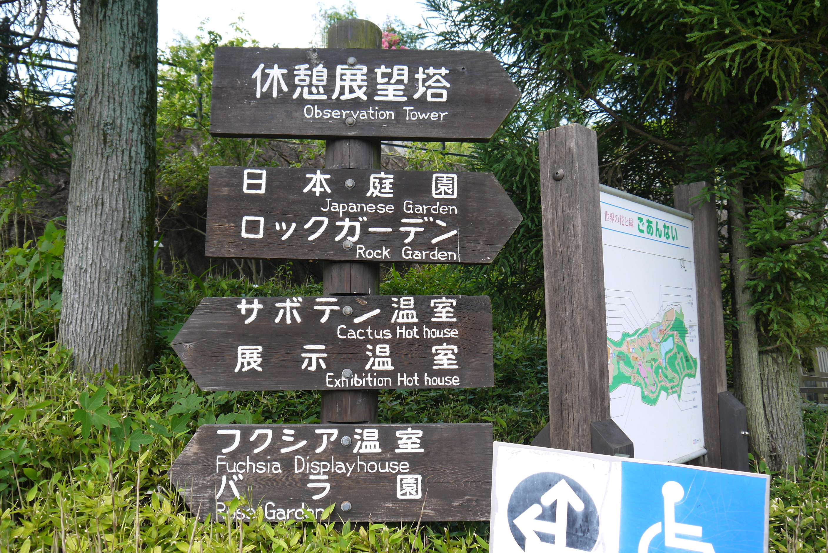 広島市植物公園へあじさいを見に行ってきました。その３サボテン温室＆バラ園