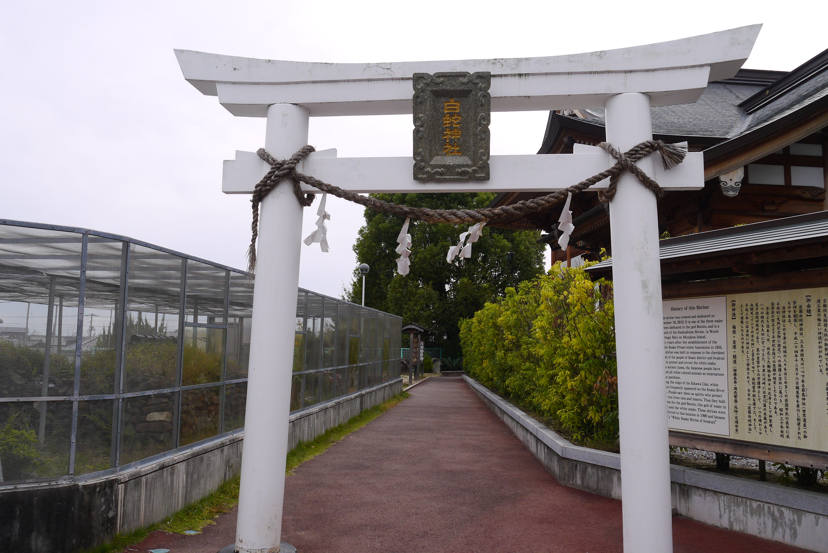 2019年10月広島の旅その８白蛇神社のおみくじはシロヘビだった。
