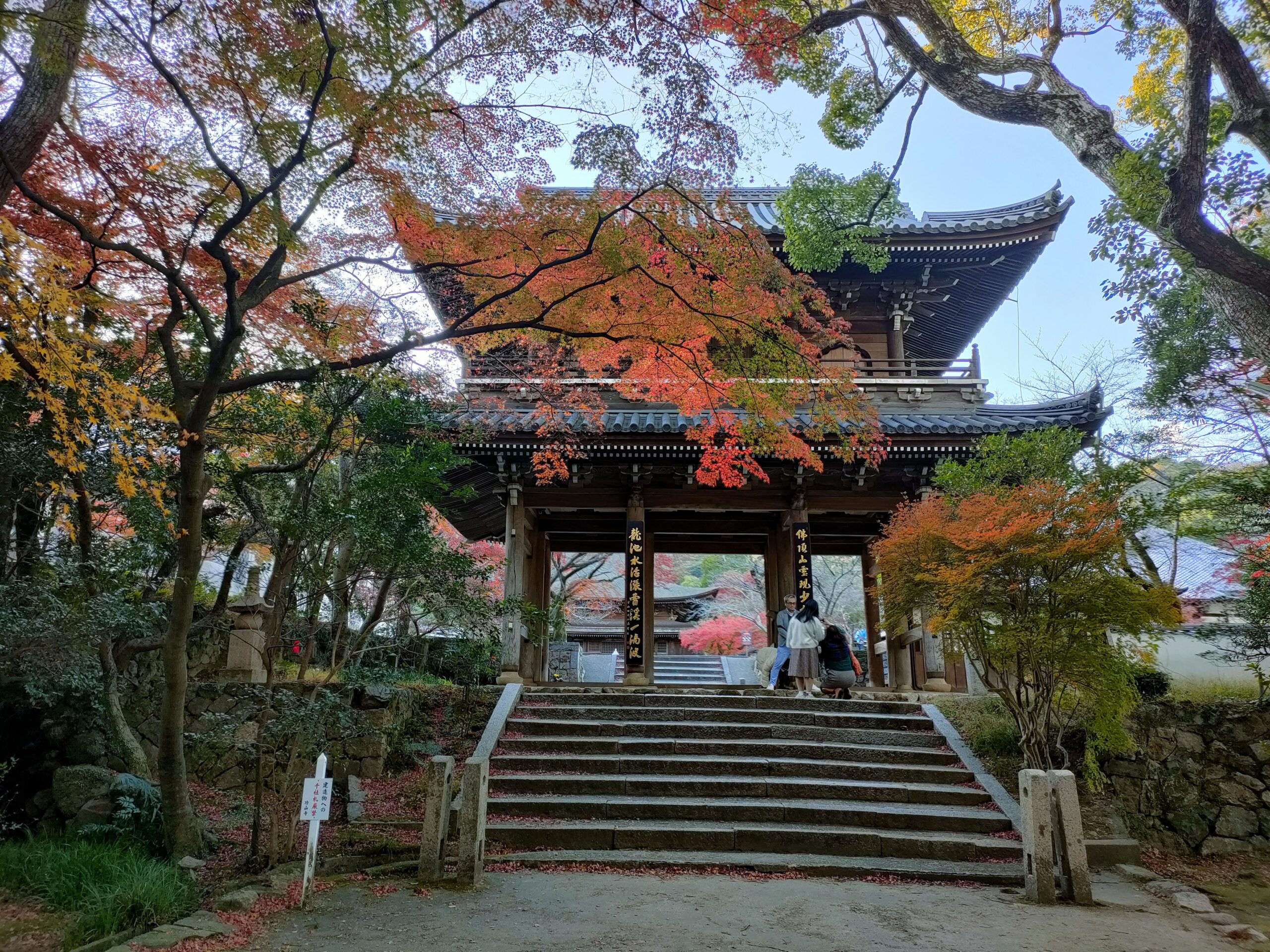 紅葉を見に功山寺へ、見頃でした。（そろそろ終わりかも）