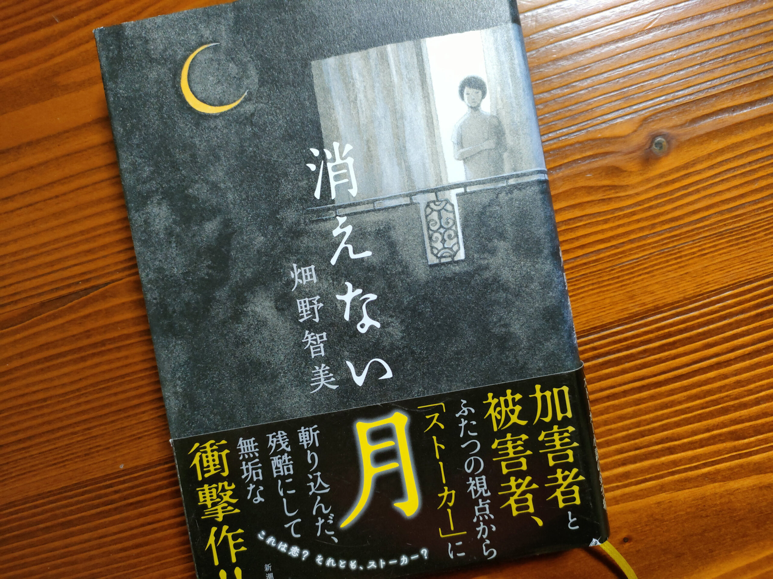 畑野智美「消えない月」を読む