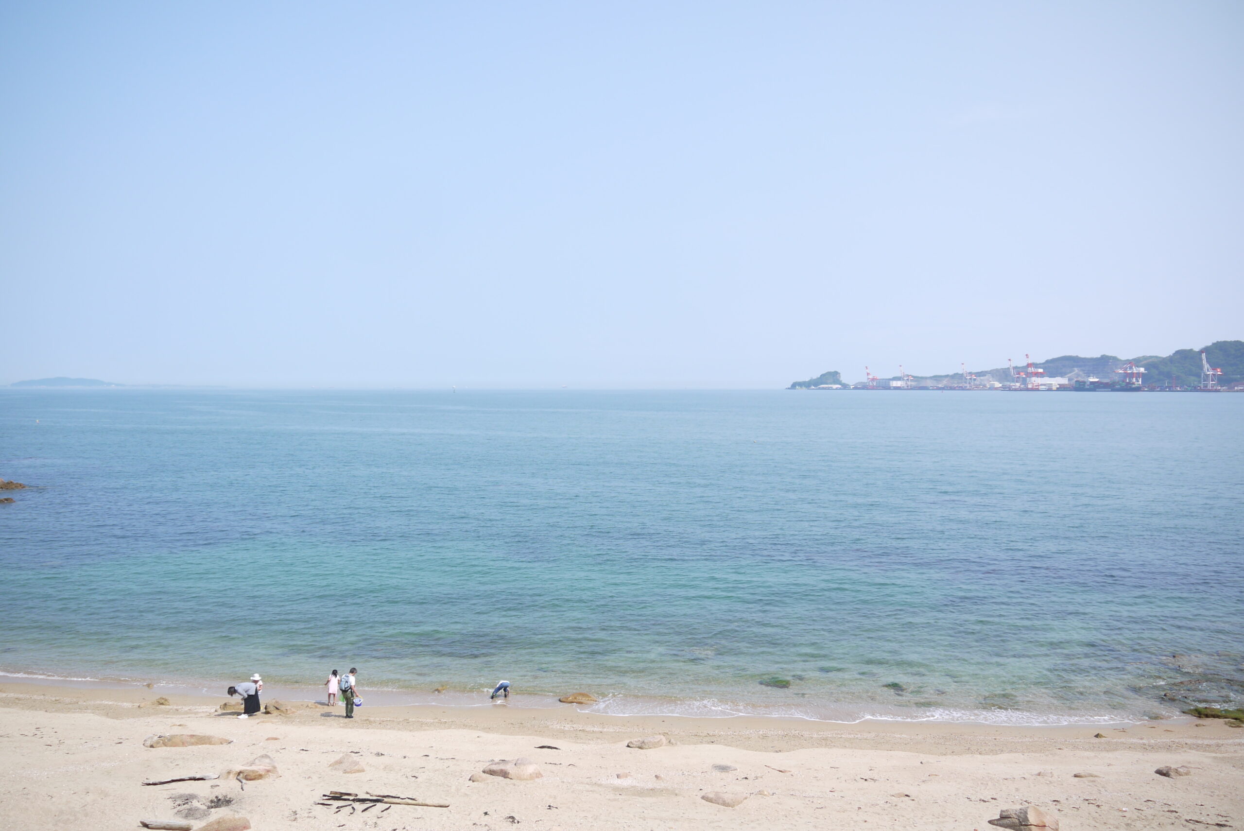 長府の三軒屋海岸で波と遊んでいる子どもたちを見ました。