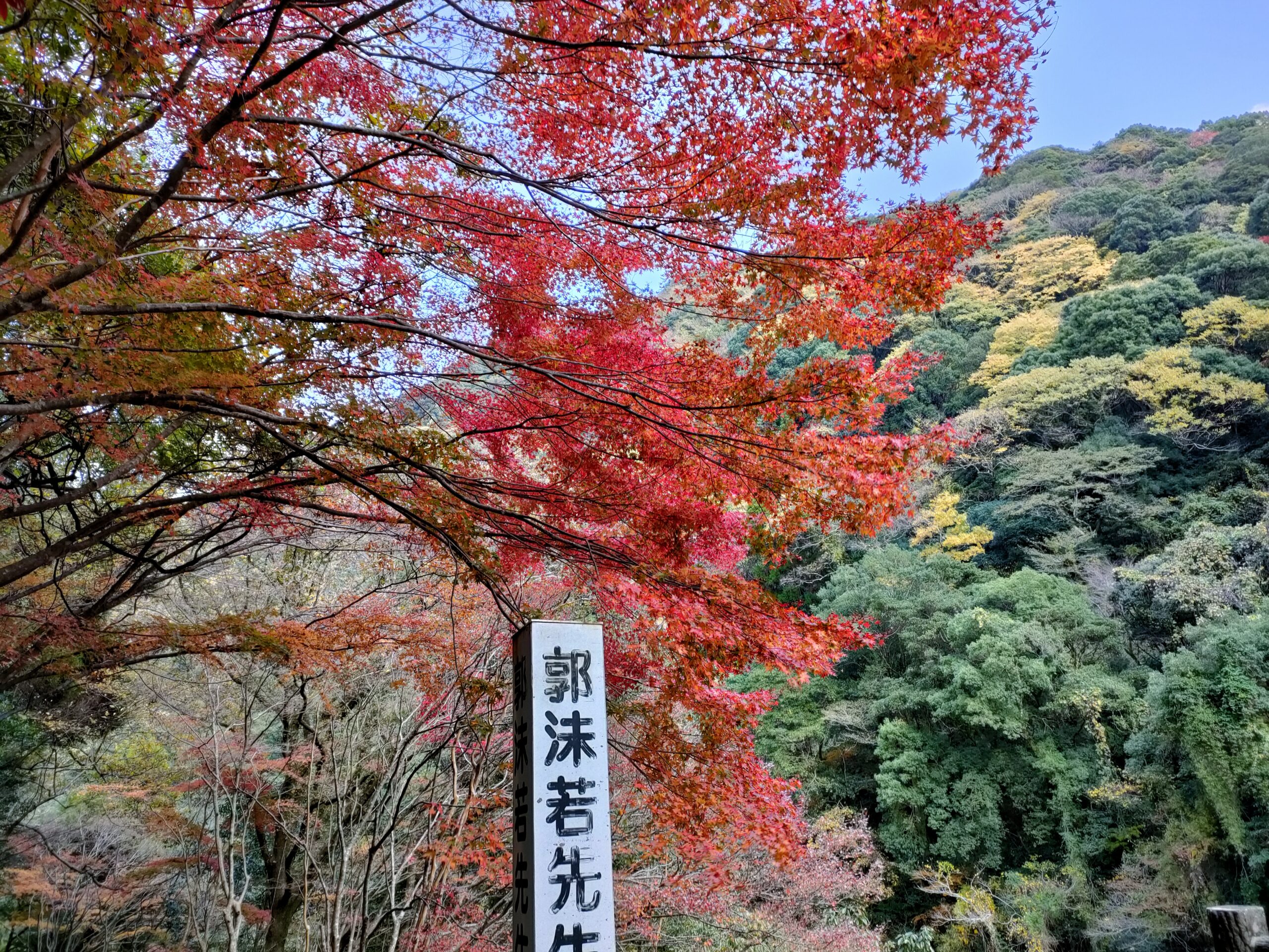 三瀬街道でそばを食べて佐賀の紅葉を見る旅　その５雄淵・雌淵公園で紅葉刈り。