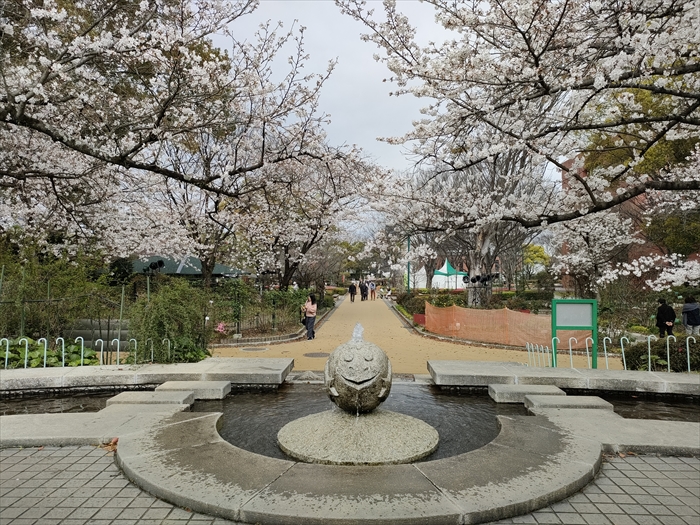 桜を見に九州まで行ってきたよ。花見で盛り上がっていたよ。その２石橋文化センター