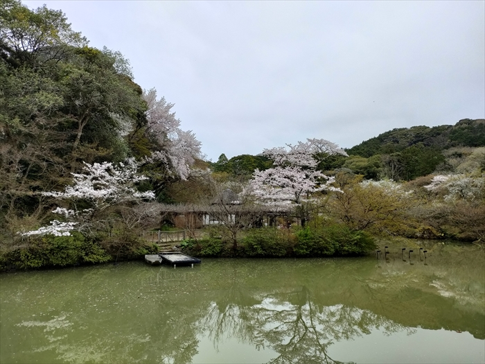 桜を見に九州まで行ってきたよ。花見で盛り上がっていたよ。その４御船山楽園