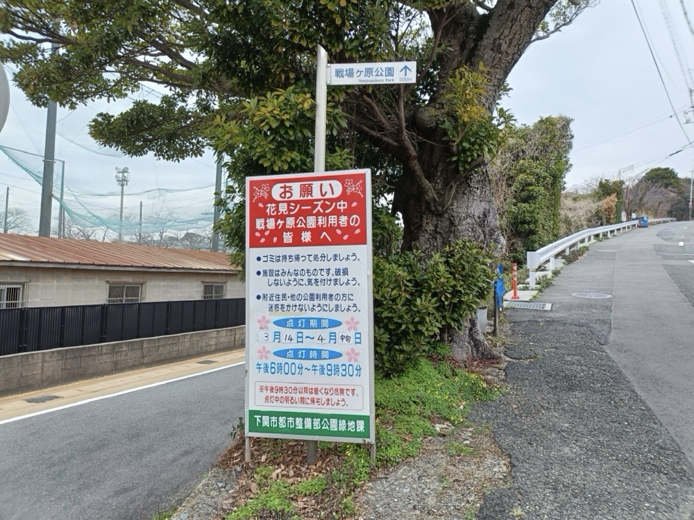 白内障の手術をしたよ。明日から仕事に復帰します。